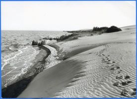  Frisches Haff, Wanderdünen bei Pillau 