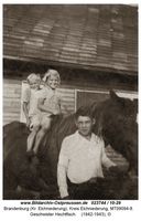 Brandenburg (Kr. Elchniederung), Kreis Elchniederung 