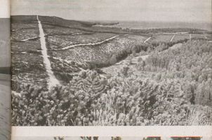  Kurisches Haff, Dünen Kurisches Haff