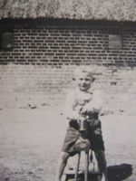 Weinsdorf, Kreis Mohrungen 