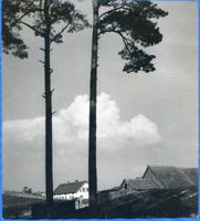 Nidden, Kreis Memel Nidden, Fischerhäuser III 