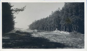 Seebad-Försterei, Kreis Memel Seebad-Försterei, Trift 