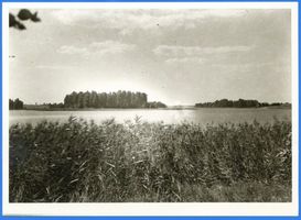 Widminnen, Kreis Lötzen Widminnen, Partie am See II 