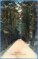 Ebenrode, Stadt, Kreis Ebenrode Stallupönen, Schützenpark, Lindenallee 