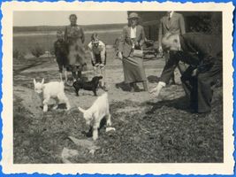  Ostpreußen, Besucher auf dem Bauernhof wo?? Восточная Пруссия, посетители на ферме, где??
