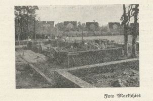 Tilsit, Stadt, Stadtkreis Tilsit Tilsit, Der Thingplatz wächst 