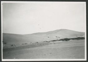  Kurische Nehrung, Dünen am Tal des Schweigens II Kurische Nehrung, Dünen