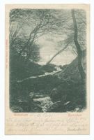 Warnicken, Kreis Samland Warnicken, Wolfsschlucht III 