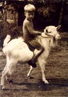 Waldau Kr. Samland, Ort, Kreis Samland 