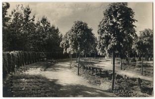 Osterode (Ostpr.), Kreis Osterode Osterode (Ostpr.), Ehrenfriedhof IV 