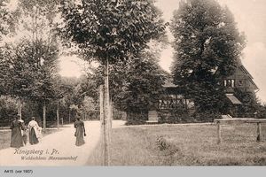 Königsberg (Pr.), Stadtkreis Königsberg 