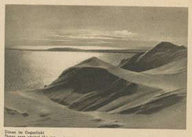  Kurische Nehrung, Dünen im Gegenlicht Kurische Nehrung, Dünen