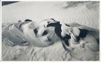  Kurische Nehrung, Dünen bei Nidden, nach Sturm und Regen geformte Sandfratzen Куршская коса, дюны у Ниддена, созданные бурей и дождём песчаные «физиономии»