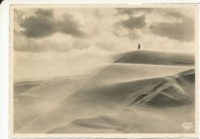  Kurische Nehrung,  Wanderdüne bei Windstärke 10 Kurische Nehrung, Dünen