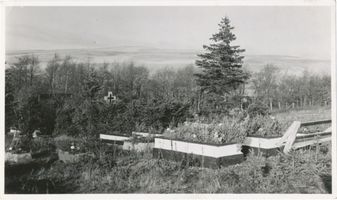 Pillkoppen, Kreis Samland Pillkoppen, Friedhof II 