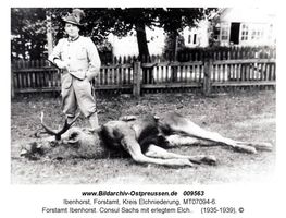 Ibenhorst, Forstamt, Kreis Elchniederung 