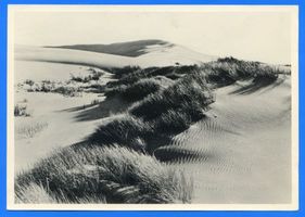 Nidden, Kreis Memel Nidden, Die hohe Düne bei Nidden III 