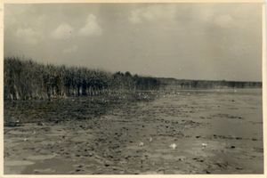 Kirsaiten, Kreis Angerburg Kirsaiten, See bei der Insel II 
