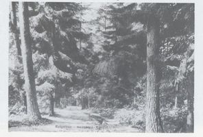 Metgethen, Ort und Bahnstation, Stadtkreis Königsberg Metgethen, Ort und Bahnstation, Hochwald 