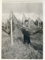Rosenberg Kr. Heiligenbeil, Kreis Heiligenbeil Rosenberg Kr. Heiligenbeil, Fischer bei seinen Netzen 