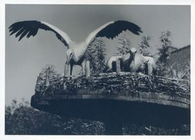 Rossitten Kr. Samland, Kreis Samland Rossitten Kr. Samland, Vogelwarte, Jungstörche im Nest Rossitten Kr. Samland, Vogelwarte