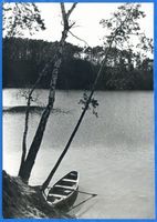  Masuren, Stiller Waldsee Мазуры, тихий лесное озеро