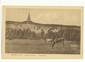 Rossitten Kr. Samland, Kreis Samland 