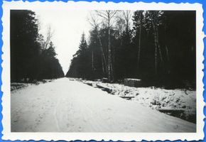 Lablacken Kr. Labiau, Kreis Labiau Lablacken Kr. Labiau, Waldweg bei Lablacken 