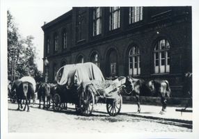 Wehlau, Kreis Wehlau Wehlau, Pferdemarkt, Aufmarsch vor der Volksschule Wehlau, Pferdemarkt