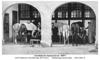 Groß Trakehnen, Kreis Ebenrode 