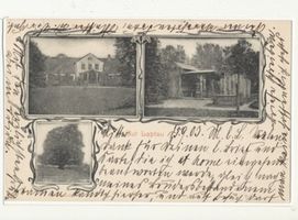 Laptau, Kreis Samland Laptau Kr. Samland, Gut Laptau, Gutshaus, Gartenhäuschen, alte Linde Samland, Orte im Kreis