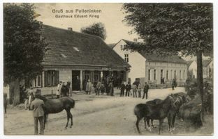 Strigengrund, Kreis Insterburg Pelleningken, Gasthaus Eduard Krieg 