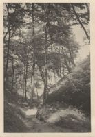 Georgenswalde, Kreis Samland 