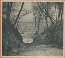  Samländische Steilküste, Schlucht Samländische Steilküste