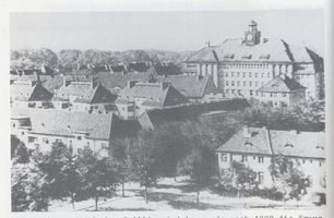 Königsberg (Pr.), Stadtkreis Königsberg Krausallee Königsberg, Amalienau, Krausallee in Verlängerung der Kastanienallee Кёнигсберг, Амалиенау, Краусаллее в продолжении Кастаньеналлее