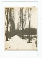 Balga, Kreis Heiligenbeil Balga, Winterlandschaft II Балга, зимний пейзаж II