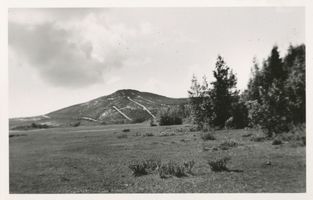  Kurische Nehrung, Bepflanzte Wanderdüne Kurische Nehrung, Dünen