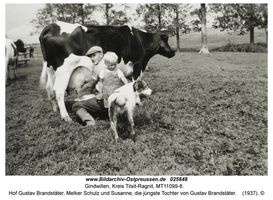 Gindwillen, Kreis Tilsit-Ragnit 