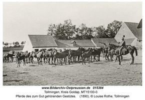 Tollmingen, Kreis Goldap  
