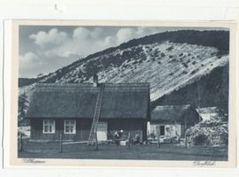 Pillkoppen, Kreis Samland Pillkoppen, An der befestigten Düne, III Пилькоппен, у укреплённой дюны, III