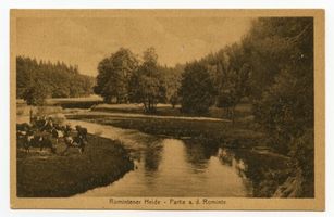  Rominter Heide, Partie an der Rominte I 