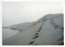  Kurische Nehrung,  Hohe Düne, Spuren im Dünensand Kurische Nehrung, Dünen