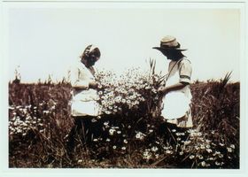 Bokellen, Kreis Gerdauen 