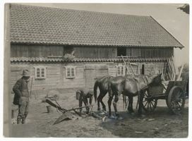  Großes Moosbruch, Pferd mit Klumpen gegen das Einsinken im Moor 