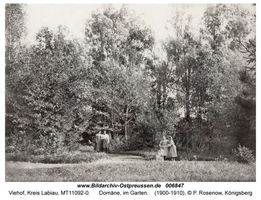 Viehof, Kreis Labiau 