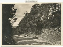 Schwarzort, Kreis Memel Schwarzort, Badeweg II 