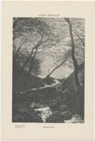 Warnicken, Kreis Samland Warnicken, Die Wolfsschlucht Warnicken, Wolfsschlucht