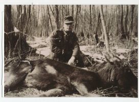 Ibenhorst, Gutsbezirk und Staatsforst, Kreis Elchniederung 