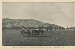 Pillkoppen, Kreis Samland Pillkoppen, Die befestigte Wanderdüne Kurische Nehrung, Dünen