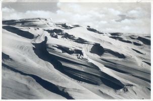  Kurische Nehrung, Hohe Düne bei Nidden nach schwerem Gewitterregen Куршская коса, высокая дюна у Ниддена после сильного грозового дождя
